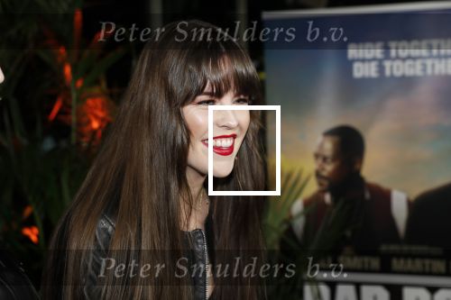 Amsterdam 20 januari 2020
Premiere Bad Boys for life in pathe Arena. Robin Martens kwam met haar zus