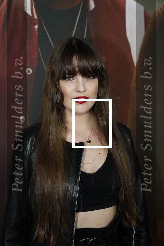 Amsterdam 20 januari 2020
Premiere Bad Boys for life in pathe Arena. Robin Martens kwam met haar zus