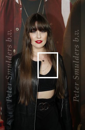 Amsterdam 20 januari 2020
Premiere Bad Boys for life in pathe Arena. Robin Martens kwam met haar zus