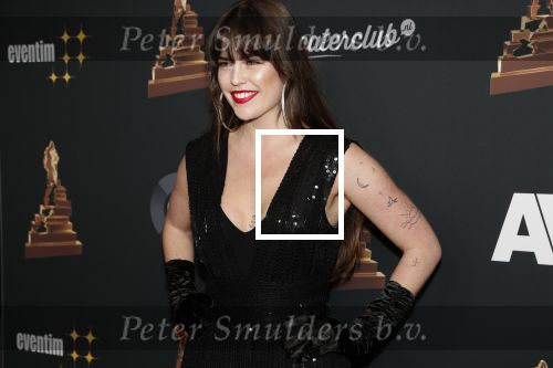 Amsterdam 22 januari 2020
Musicalgala in de Rai. Robin Martens met verschillende tatoos