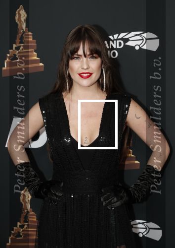 Amsterdam 22 januari 2020
Musicalgala in de Rai. Robin Martens met verschillende tatoos