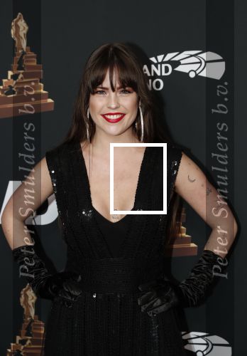 Amsterdam 22 januari 2020
Musicalgala in de Rai. Robin Martens met verschillende tatoos