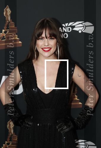 Amsterdam 22 januari 2020
Musicalgala in de Rai. Robin Martens met verschillende tatoos