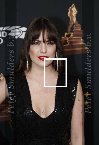 Amsterdam 22 januari 2020
Musicalgala in de Rai. Robin Martens met verschillende tatoos