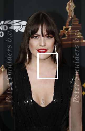 Amsterdam 22 januari 2020
Musicalgala in de Rai. Robin Martens met verschillende tatoos