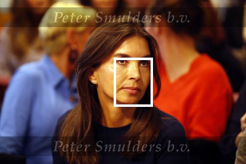Lelystad 15 januari 2020
Rechtszaak Rosanna Kluivert en haar zoon Nino Wilkes tegen het tv programma Tros Opgelicht bij de rechtbank in Lelystad.
