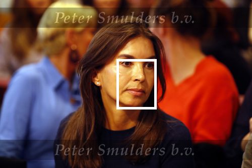 Lelystad 15 januari 2020
Rechtszaak Rosanna Kluivert en haar zoon Nino Wilkes tegen het tv programma Tros Opgelicht bij de rechtbank in Lelystad.