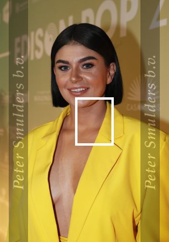Amsterdam 10 februari 2020
Uitreiking edisons in de westergasfabriek . Najib Amhali presenteert de avond.
Roxeanne Hazes met partner Erik Zwennes