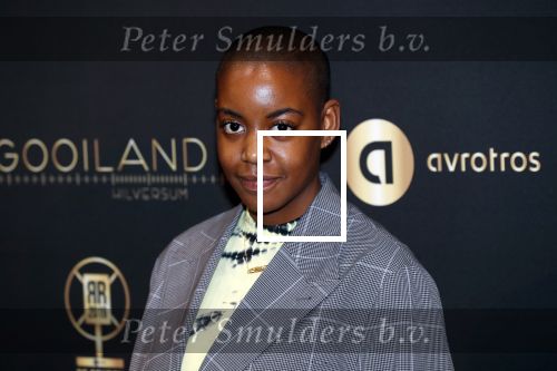 Hilversum 30 januari 2020
Radioring gala in theater gooiland .
Sagid Carter
