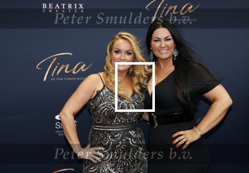 Utrecht 9 februari 2020
Premiere Tina Turner musical in het Beatrix Theater. samantha Steenwijk met partner