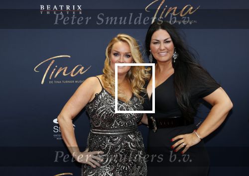 Utrecht 9 februari 2020
Premiere Tina Turner musical in het Beatrix Theater. samantha Steenwijk met partner