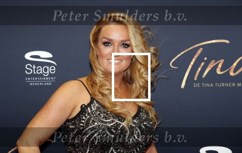 Utrecht 9 februari 2020
Premiere Tina Turner musical in het Beatrix Theater. samantha Steenwijk met partner