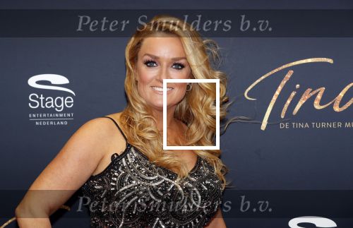 Utrecht 9 februari 2020
Premiere Tina Turner musical in het Beatrix Theater. samantha Steenwijk met partner