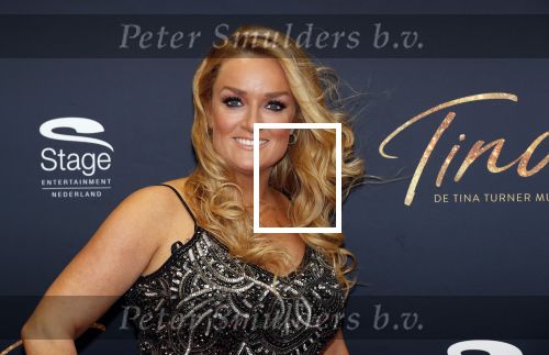Utrecht 9 februari 2020
Premiere Tina Turner musical in het Beatrix Theater. samantha Steenwijk met partner