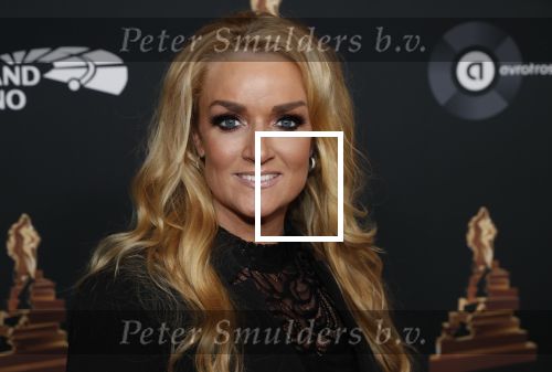 Amsterdam 22 januari 2020
Musicalgala in de Rai. Samantha Steenwijk met haar partner