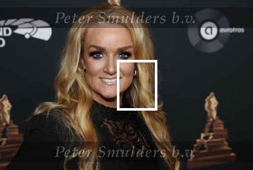 Amsterdam 22 januari 2020
Musicalgala in de Rai. Samantha Steenwijk met haar partner