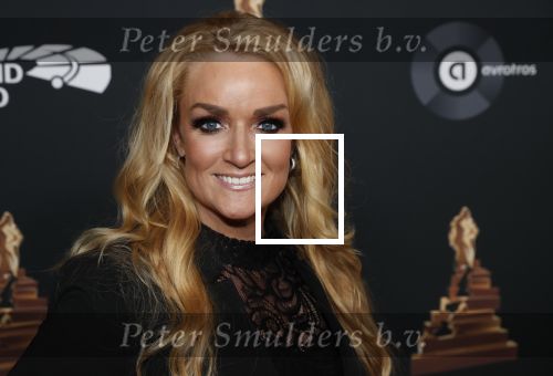 Amsterdam 22 januari 2020
Musicalgala in de Rai. Samantha Steenwijk met haar partner