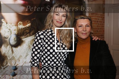 Amsterdam29 januari 2020
Presentatie boek Susan Smit in Amsterdams museum. Saskia Noort