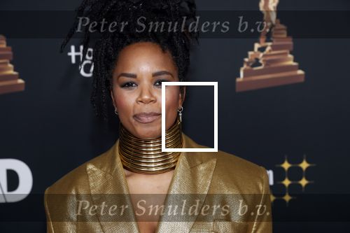 Amsterdam 22 januari 2020
Musicalgala in de Rai. Shary-An Nivillac kwam met haar vreindin