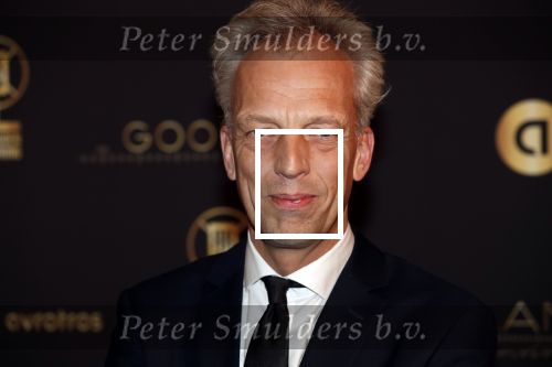 Hilversum 30 januari 2020
Radioring gala in theater gooiland . Sjors Frohlich  had zijn vrouw en kinderen meegenomen