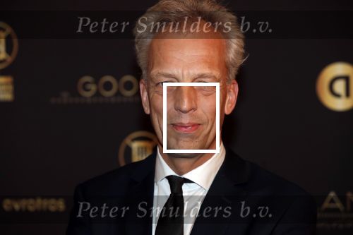 Hilversum 30 januari 2020
Radioring gala in theater gooiland . Sjors Frohlich  had zijn vrouw en kinderen meegenomen