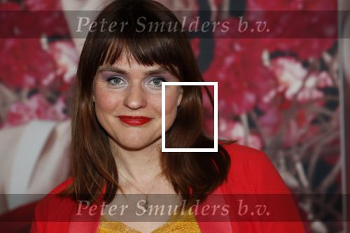 Amsterdam 6 februari 2020
Premiere Frida van het nationaal ballet in de Stopera. 
Sofie v d Enk