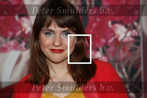 Amsterdam 6 februari 2020
Premiere Frida van het nationaal ballet in de Stopera. 
Sofie v d Enk