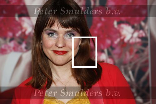Amsterdam 6 februari 2020
Premiere Frida van het nationaal ballet in de Stopera. 
Sofie v d Enk