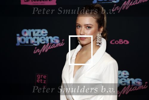 Amsterdam 27 januari 2020
Premiere Onze Jongens in Miami in Tuschinski. Sterre Koning