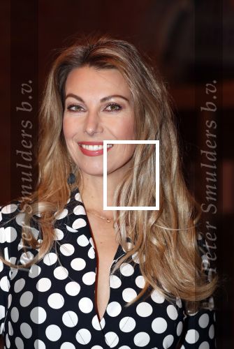 Amsterdam29 januari 2020
Presentatie boek Susan Smit in Amsterdams museum.