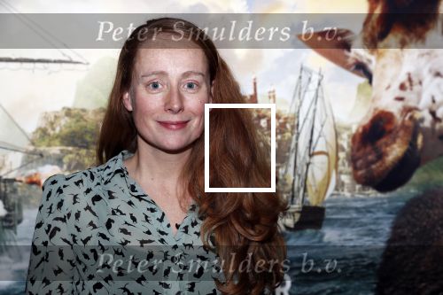 Amsterdam 12 januari 2020
Premiere Dolittle in pathe Arena. Sytske v d Ster