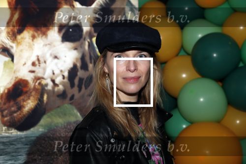 Amsterdam 12 januari 2020
Premiere Dolittle in pathe Arena. Gijs naber kwam met zijn vrouw Thekla Reuten