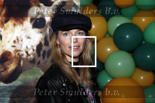Amsterdam 12 januari 2020
Premiere Dolittle in pathe Arena. Gijs naber kwam met zijn vrouw Thekla Reuten