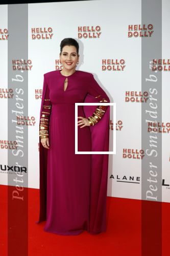 Rotterdam 8 maart 2020
Premiere Hello Dolly in het nieuwe Luxor. Tina de Bruin