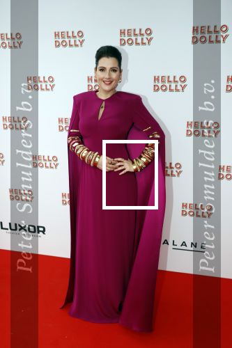 Rotterdam 8 maart 2020
Premiere Hello Dolly in het nieuwe Luxor. Tina de Bruin