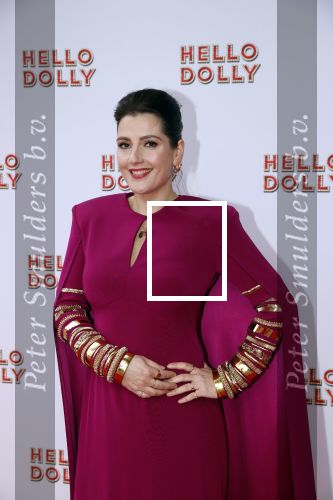 Rotterdam 8 maart 2020
Premiere Hello Dolly in het nieuwe Luxor. Tina de Bruin