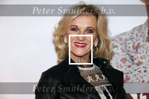 Amsterdam 10 februari 2020
Premiere van de beentjes van Sint Hildegard in Tuschinski met in de hoofdrollen Herman Finkers Johanna ter Steege Leonie ter Braak Ferdi Stofmeel en Daphne Bunskoek . Tineke Schouten