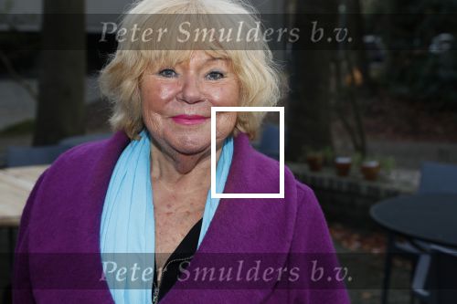 Hilversum 5 januari 2020
Peter Koelewijn krijgt een lintje van Burgemeester Pieter Broertjes.
Event vond plaats in de wisseloord studios. Tineke de Nooij