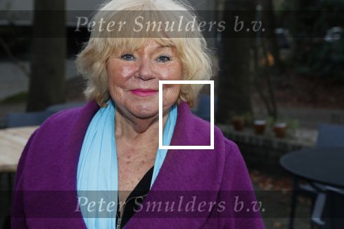 Hilversum 5 januari 2020
Peter Koelewijn krijgt een lintje van Burgemeester Pieter Broertjes.
Event vond plaats in de wisseloord studios. Tineke de Nooij