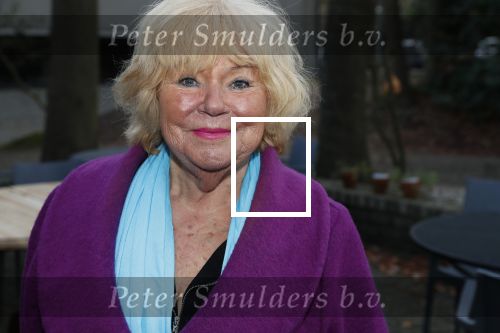 Hilversum 5 januari 2020
Peter Koelewijn krijgt een lintje van Burgemeester Pieter Broertjes.
Event vond plaats in de wisseloord studios. Tineke de Nooij