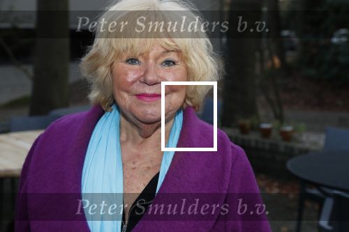Hilversum 5 januari 2020
Peter Koelewijn krijgt een lintje van Burgemeester Pieter Broertjes.
Event vond plaats in de wisseloord studios. Tineke de Nooij
