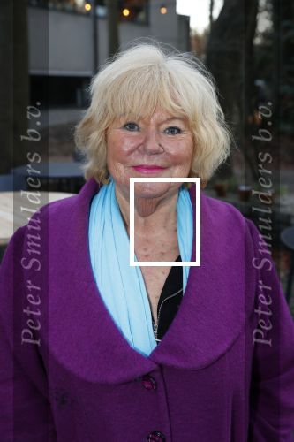 Hilversum 5 januari 2020
Peter Koelewijn krijgt een lintje van Burgemeester Pieter Broertjes.
Event vond plaats in de wisseloord studios. Tineke de Nooij