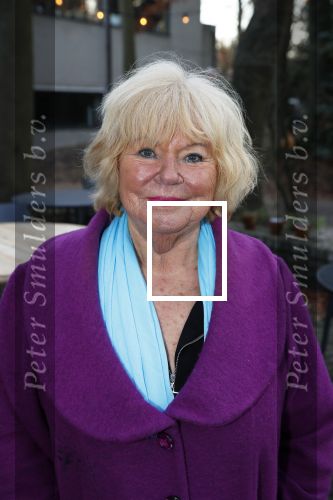 Hilversum 5 januari 2020
Peter Koelewijn krijgt een lintje van Burgemeester Pieter Broertjes.
Event vond plaats in de wisseloord studios. Tineke de Nooij