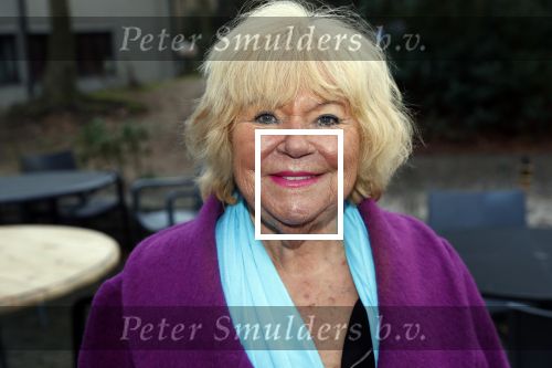 Hilversum 5 januari 2020
Peter Koelewijn krijgt een lintje van Burgemeester Pieter Broertjes.
Event vond plaats in de wisseloord studios. Tineke de Nooij
