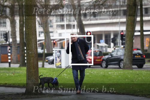 Amsterdam 17 januari 2020
Tom Egbers laat al bellend zijn hond uit