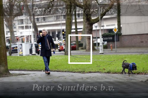 Amsterdam 17 januari 2020
Tom Egbers laat al bellend zijn hond uit