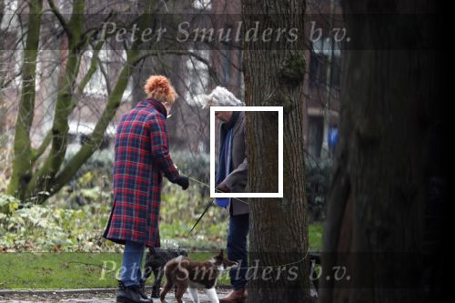 Amsterdam 31 januari 2020
Tom Egbers laat bellend zijn hond uit
