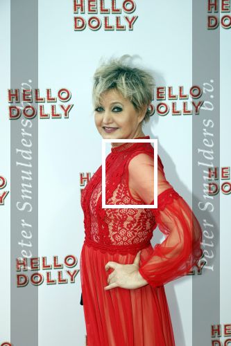 Rotterdam 8 maart 2020
Premiere Hello Dolly in het nieuwe Luxor. Vera Mann en Ellen Evers