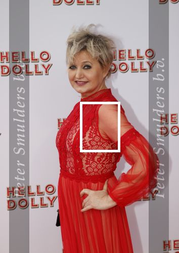 Rotterdam 8 maart 2020
Premiere Hello Dolly in het nieuwe Luxor. Vera Mann en Ellen Evers