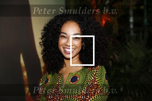 Amsterdam 20 januari 2020
Premiere Bad Boys for life in pathe Arena. Veronica v Hoogdalem